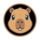 Capy Theme Collection